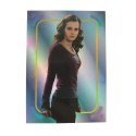 Karty Harry Potter - Saszetki Display 18 sztuk Panini Kolekcja
