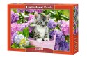 Puzzle 1500 elementów Kotek w koszyku Castor