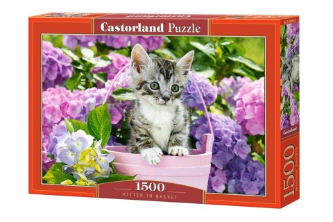 Puzzle 1500 elementów Kotek w koszyku Castor