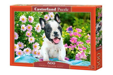 Puzzle 500 elementów Pieski buldożki francuskie Castor