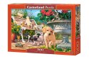Puzzle 500 elementów Pieski zabawa w chowanego Castor