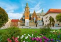 Puzzle 500 elementów Wawel zamek Kraków, Polska Castor