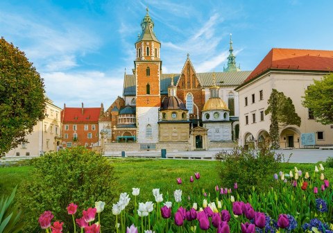 Puzzle 500 elementów Wawel zamek Kraków, Polska Castor