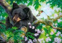Puzzle 500 elementów Niedźwiedź Wish I Could Fly Castor