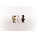 Figurki Farm World Kurze przyjaciółki Schleich