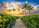Puzzle 3000 elementów Wschód słońca palmy Miami USA Castor
