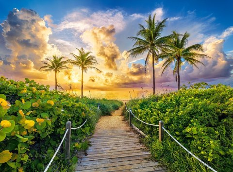 Puzzle 3000 elementów Wschód słońca palmy Miami USA Castor