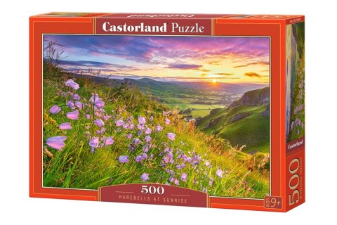 Puzzle 500 elementów Harebells at Sunrise Castor