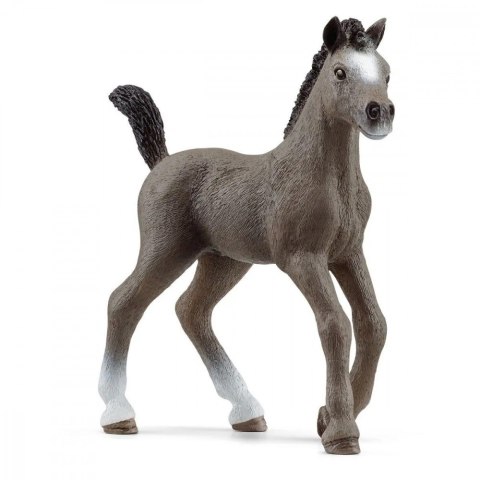 Źrebak rasy Cheval De Selle Francais Schleich