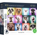 Puzzle 1000 elementów UFT Zabawne psie portrety Trefl