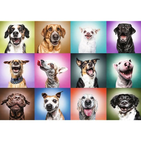 Puzzle 1000 elementów UFT Zabawne psie portrety Trefl