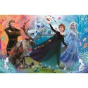 Puzzle 160 elementów XL Super Shape Odkryj świat Frozen, Kraina Lodu Trefl