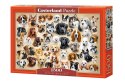 Puzzle 1500 elementów Kolaż z psami Castor