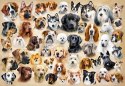 Puzzle 1500 elementów Kolaż z psami Castor