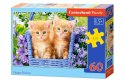 Puzzle 60 elementów Rude kotki Castor