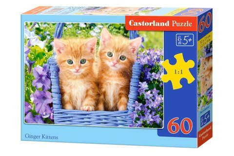 Puzzle 60 elementów Rude kotki Castor