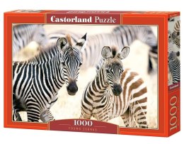 Puzzle 1000 elementów Młode zebry Castor