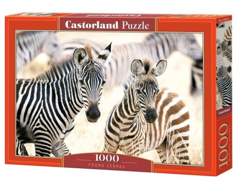 Puzzle 1000 elementów Młode zebry Castor