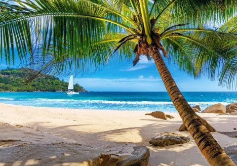 Puzzle 500 elementów Holidays in Seychelles Castor
