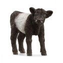 Figurka ciele rasy Galloway Schleich