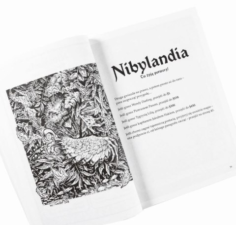 Gra Książkowa: Nibylandia. Tu żyją potwory! Muduko