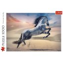 Puzzle 1000 elementów Majestatyczny koń Trefl