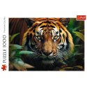 Puzzle 1000 elementów Dziki Tygrys Trefl