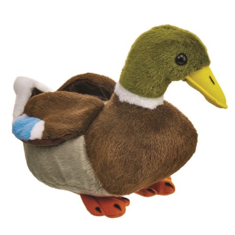 Maskotka Kaczka krzyżówka 28cm Beppe