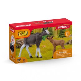 Zestaw figurek Łoś z cielęciem Schleich