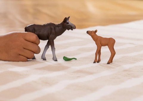 Zestaw figurek Łoś z cielęciem Schleich