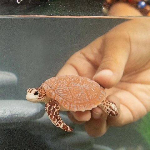 Figurka Żółw szylkretowy Schleich