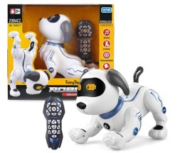 Robopies R/C Toys For Boys Artyk