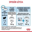 ROYAL CANIN SHN Mini Starter Mother & Babydog - sucha karma dla psa - 4 kg
