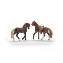 Zestaw startowy Horse Club Paso peruwiański Schleich