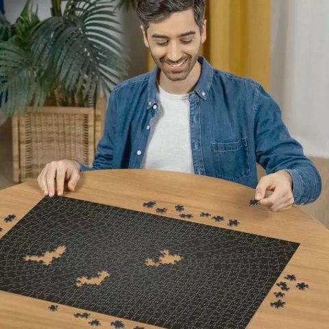Puzzle 736 elementów Krypt Czarne Ravensburger Polska