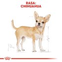 Royal Canin BHN Chihuahua Adult - sucha karma dla psa dorosłego - 1,5kg (WYPRZEDAŻ)