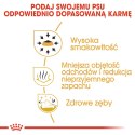 Royal Canin BHN Chihuahua Adult - sucha karma dla psa dorosłego - 1,5kg (WYPRZEDAŻ)