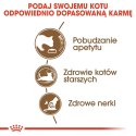 ROYAL CANIN Ageing +12 2kg