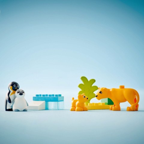Klocki DUPLO 10442 Rodziny dzikich zwierząt: pingwiny i lwy LEGO