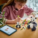 Klocki Creator 31165 Dzikie zwierzęta: rodzina pand LEGO
