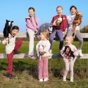 Koń na kiju Hobby Horse HOPPIHORSE A4 Bay - ciemny brąz, maść gniada Tootiny