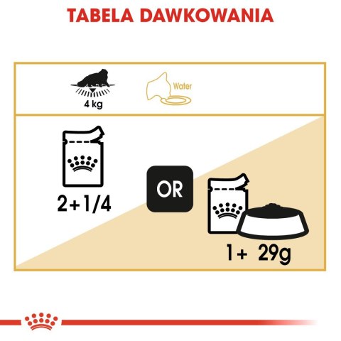 ROYAL CANIN FBN Persian Adult w formie pasztetu - mokra karma dla kota dorosłego - 12x85g