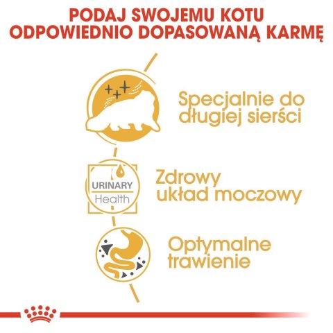 ROYAL CANIN FBN Persian Adult w formie pasztetu - mokra karma dla kota dorosłego - 12x85g