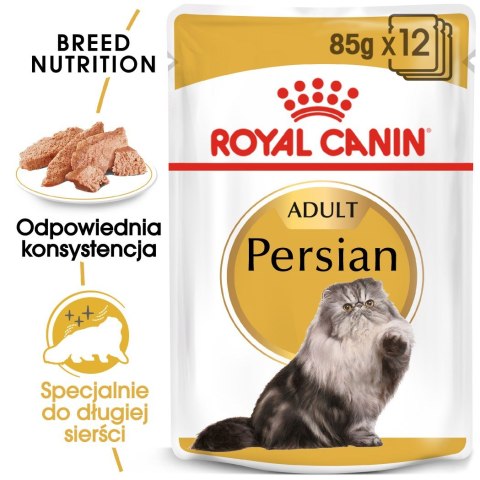 ROYAL CANIN FBN Persian Adult w formie pasztetu - mokra karma dla kota dorosłego - 12x85g