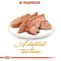 ROYAL CANIN FBN Persian Adult w formie pasztetu - mokra karma dla kota dorosłego - 12x85g