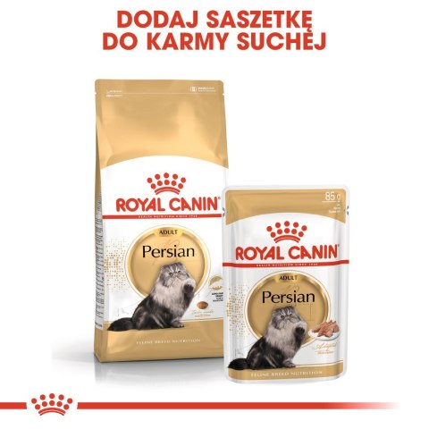 ROYAL CANIN FBN Persian Adult w formie pasztetu - mokra karma dla kota dorosłego - 12x85g