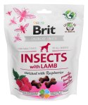 Brit Care Dog Insects&Lamb - Przysmak dla psa - 200 g