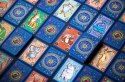 Gra Wredna Małpa Portal Games