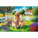 Puzzle 300 elementów EasyPiece Pieski na wsi; dla seniora Trefl