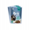 Brit Premium Family Plate dla kotów saszetki w sosie mix smaków 12x85g